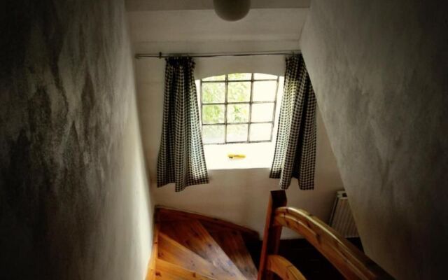 Stutteri Skandi Hest