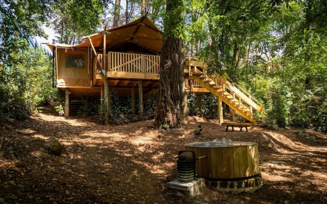 Casa del Roble Avandaro