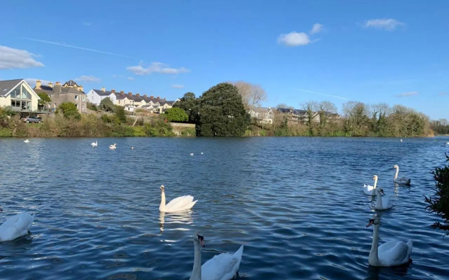 Mill Pond View