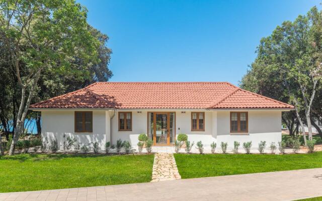 Porto Bus Beachfront 1