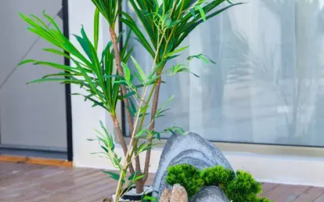 Yunye Chuxin Homestay (Beijing Zhangfang Branch)