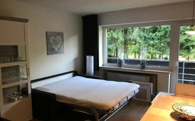 Winterberg Vacation Apartment