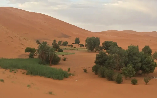 Sahara Sabaku Tour Camp