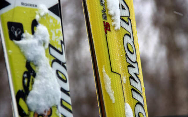 Pension Mocking Bird