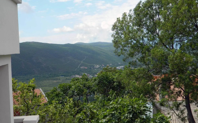 Apartments Vila Andjela