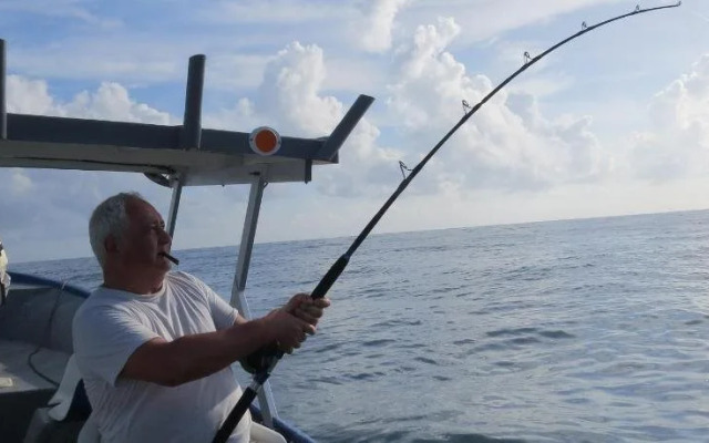 Toucan and Tarpon