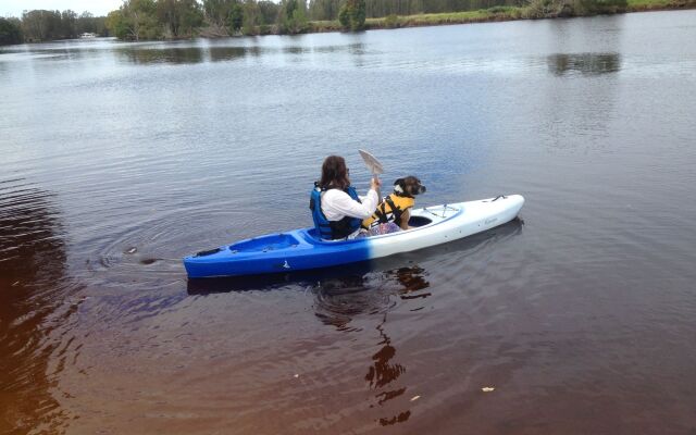 Discovery Parks - Forster