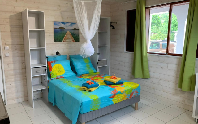 Les Lianes De Mysore