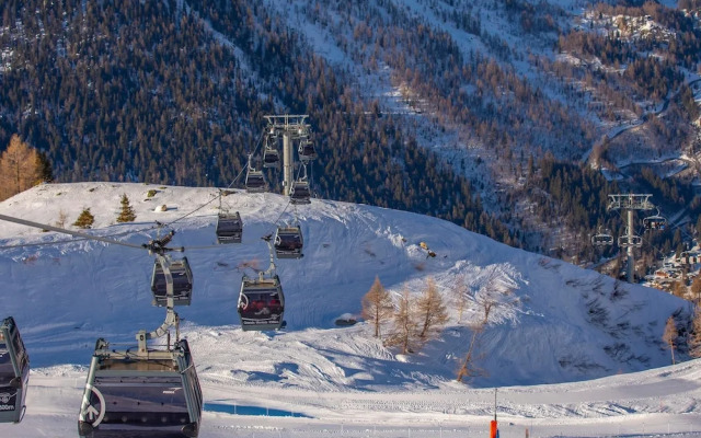 R Sidence Androsace 53