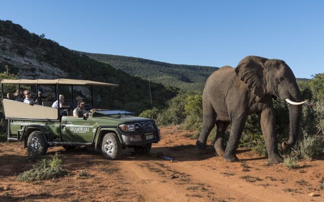 Shamwari Sarili Lodge