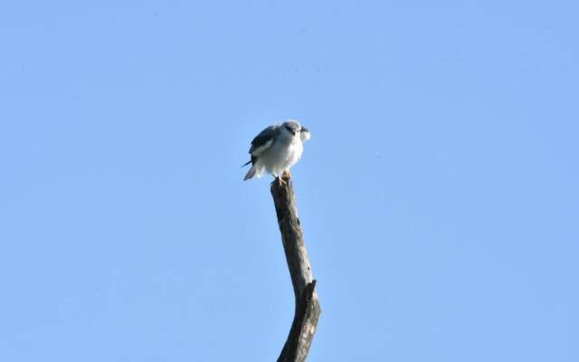 Explorer by Eco Team - Maduru Oya National Park