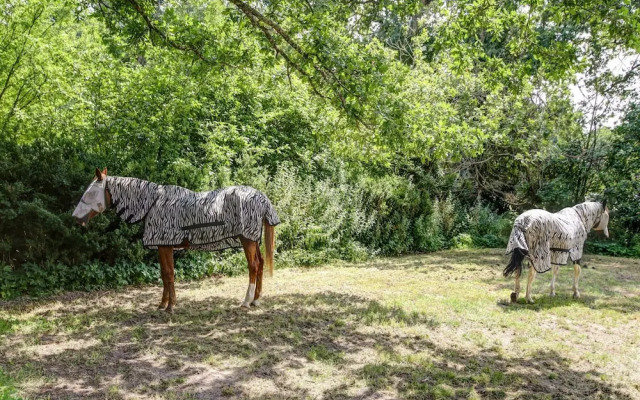 Holiday Home in a Park in Raizeux With Terrace