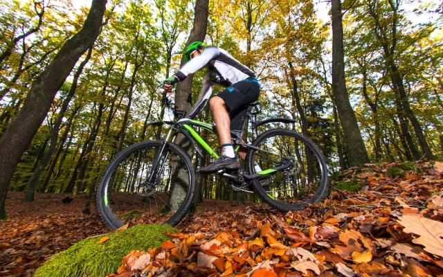 Hotel en Restaurant Wesseling