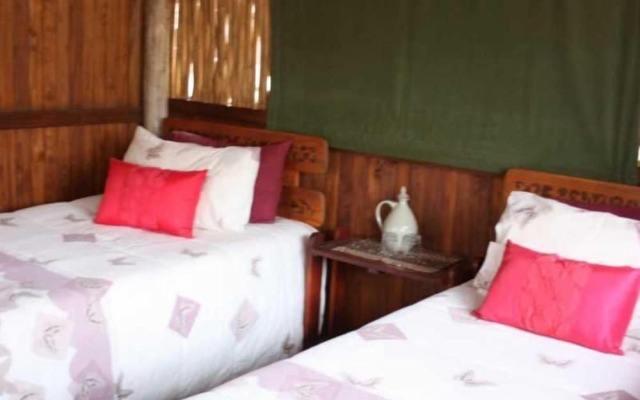 Offbeat Safaris