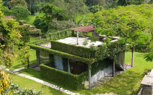 Tea Garden Resort