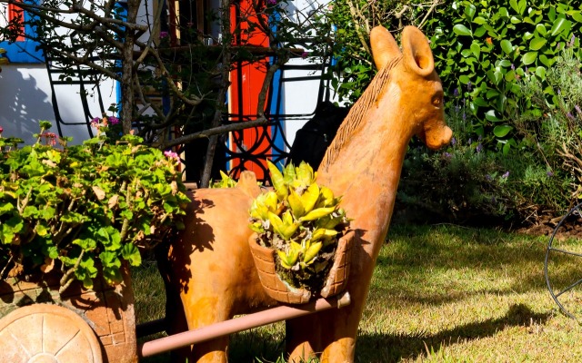 Pousada Araújo Bazilio