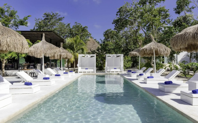Jungle Lodge Boutique Hotel Adults Only