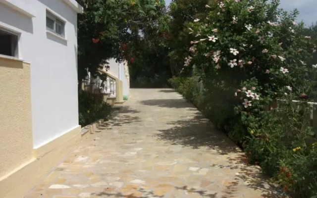 Alexandros Walnuttree Arillas Corfu