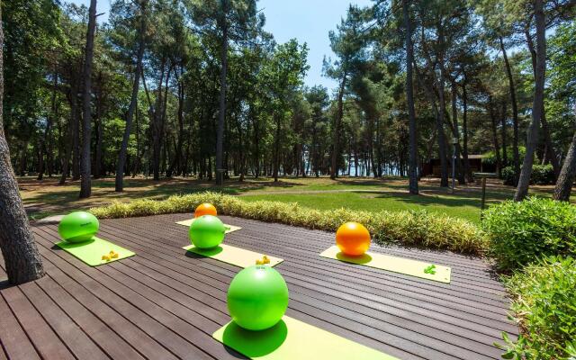 Hotel Pelegrin Plava Laguna