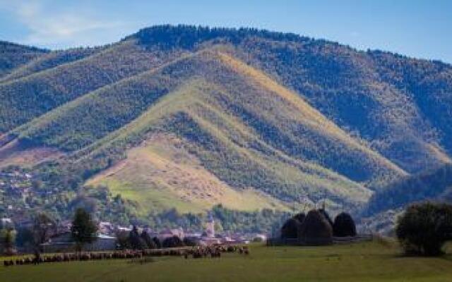 Picturesque Village in Transylvania