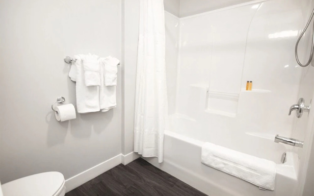 Modern 3BR Unit on Jessie Ave With Insuite Laundry