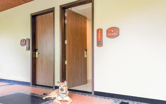 Aurika Coorg - Luxury by Lemon Tree Hotels