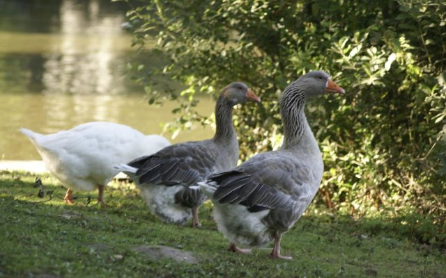 Caravaning Les Tourterelles