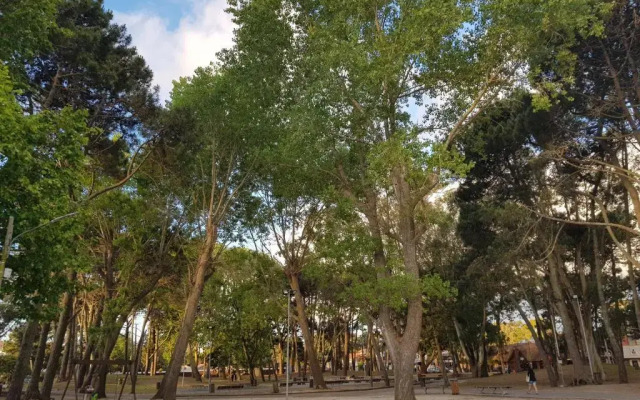 Hostel Santa Maria de Oro