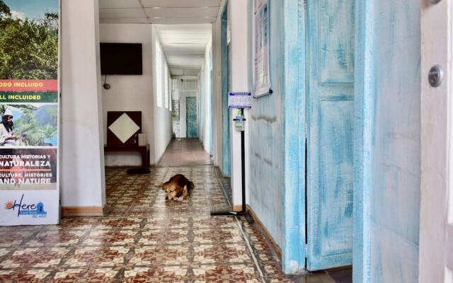 Mango Tree Hostel 4 20