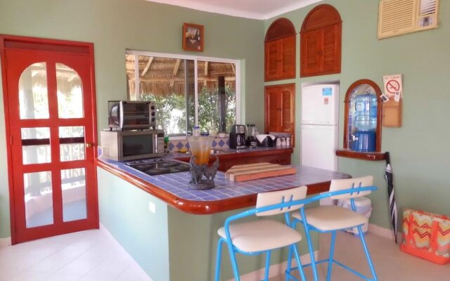 Casa Gatos