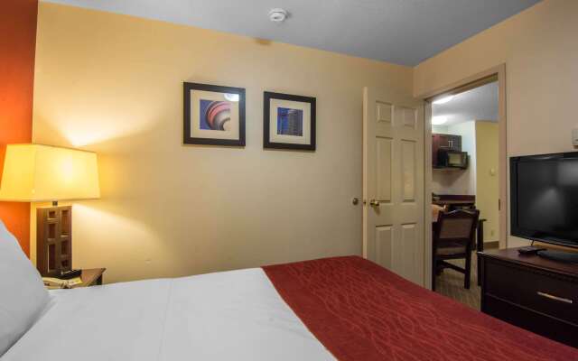 Comfort Inn & Suites Airport South