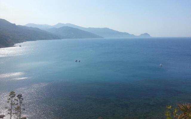 House Luigio'