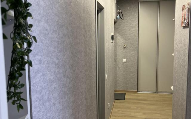 Пять звезд Кассиопеи на улице Мечникова 37