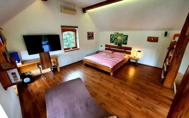 Vineyard cottage Matej