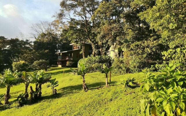 Hotel Flor de Bromelia