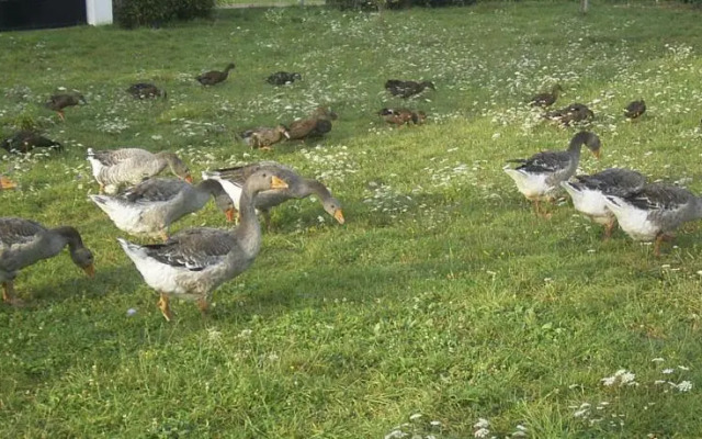 Holiday Home Les Vallons