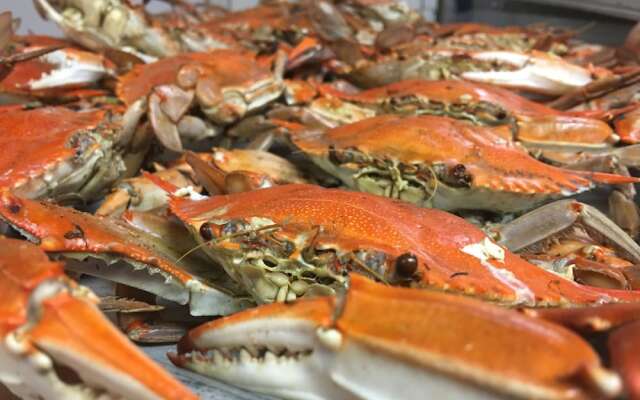 Good Place Farms B&B