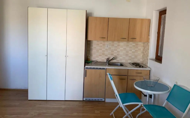 Apartment Anic Milic