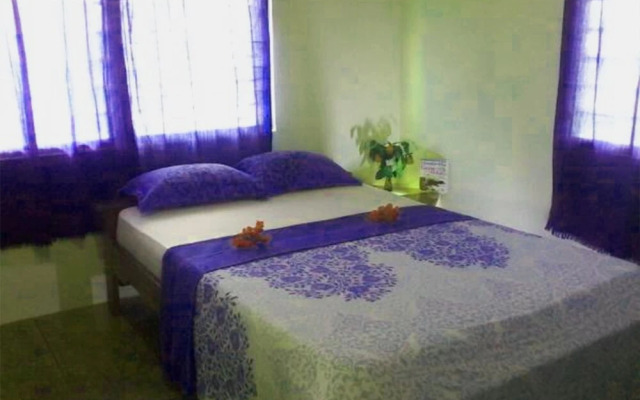 Twitter Paradise Guest House