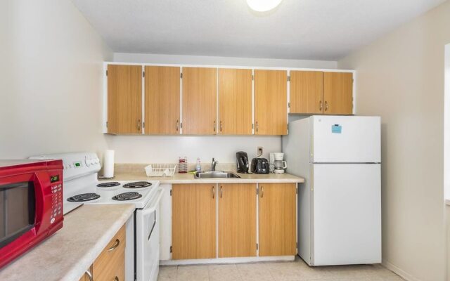 Spacious 1 BR Apartment of Downtown Toronto III