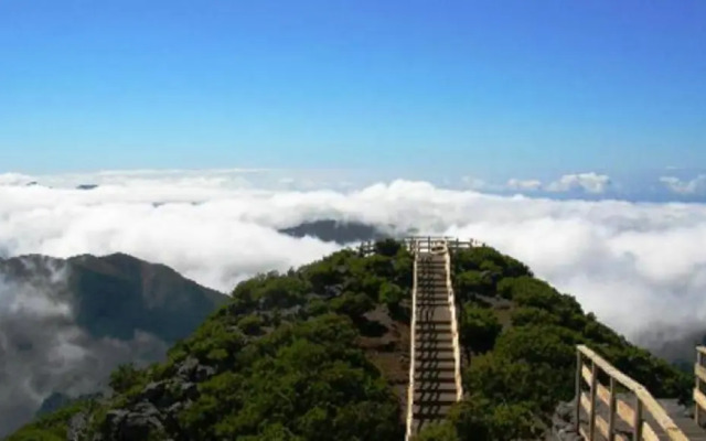 Villa Scirocco Madeira Ocean View