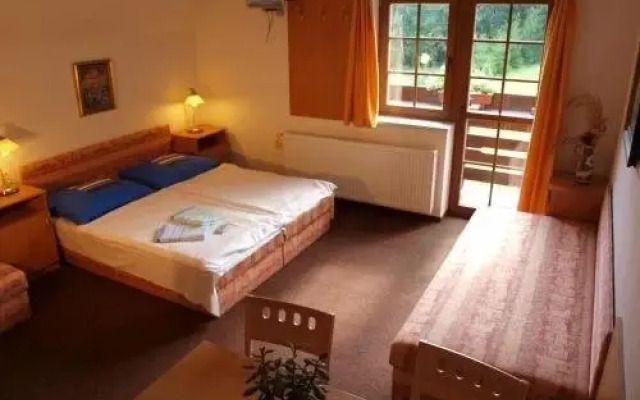 Pension Vlasta