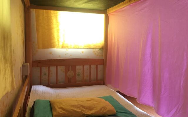 Springflower Guesthouse - Hostel