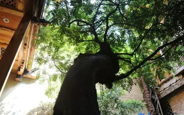 Yuxi Qingyun Shangju Homestay (Nie'er Former Residence)