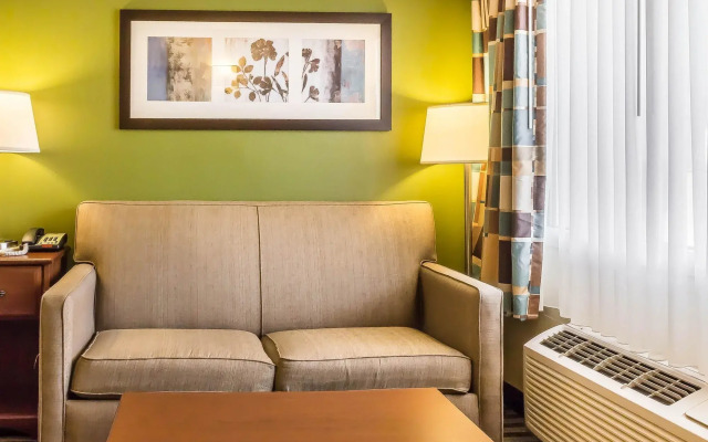 Quality Inn Flamingo