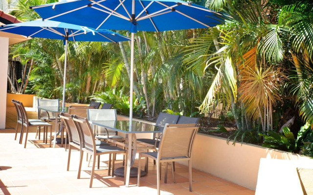 Chevron Palms