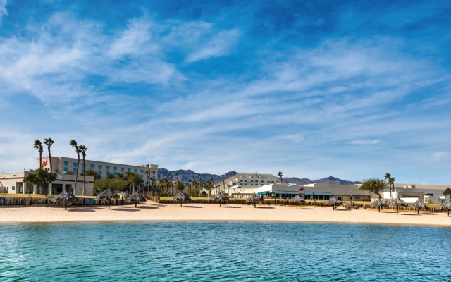 Avi Resort & Casino