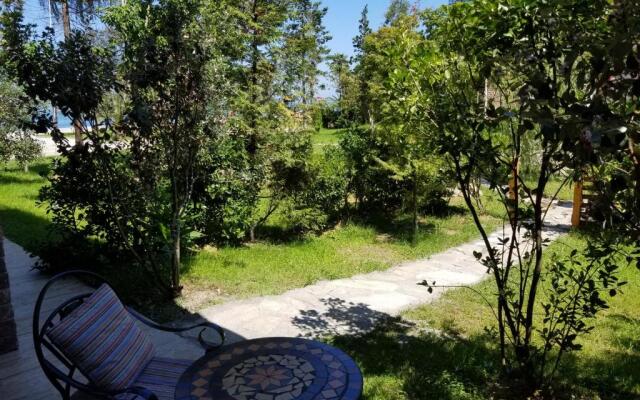 Dreamland Oasis 7 Chakvi