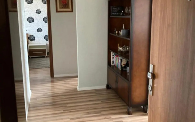 Apartment Safarikova