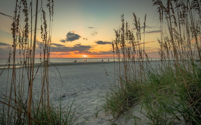 Seashell 19 by Vtrips